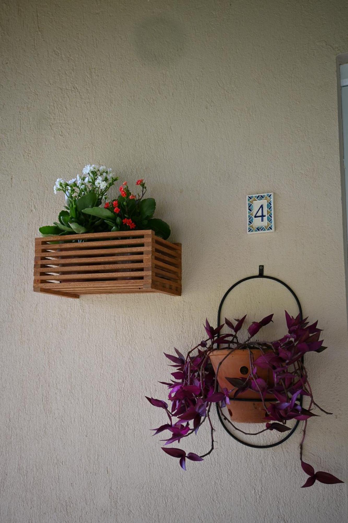 Sitio Terra Sana Bed & Breakfast Santa Teresa  Exterior photo